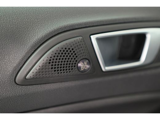 Ford EcoSport 1.0 EcoBoost ST-Line | Navigatie | B&O | Winter Pack | Parking Pack | Stoel-/stuurverwarming | Ca... ActivLease financial lease