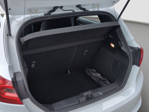 Ford Fiesta 1.0 ST-Line | Org. NL | 1e eig. | Cruise Control | Apple Carplay ActivLease financial lease