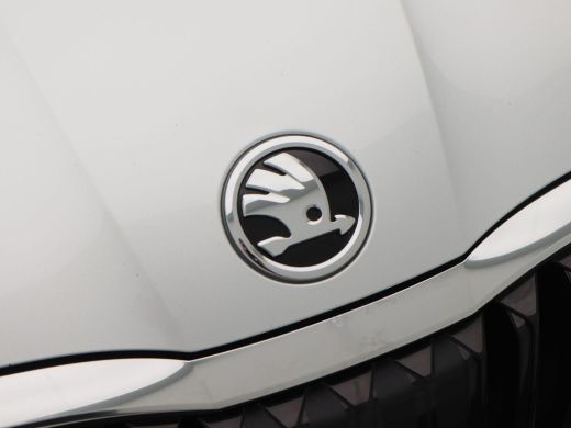 Skoda Octavia Combi 1.5 e-TSi 150 Pk Automaat Business Edition Plus | Matrix LED | Panoramadak | Camera | Trekh... ActivLease financial lease