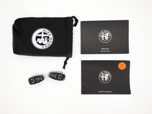 Alfa Romeo Giulia 2.0T B-Tech (INCL-BTW) Aut. *LUXURY-LEATHER | XENON | ADAPTIVE-CRUISE | MEMORY-PACK | HEATED-SPOR... ActivLease financial lease