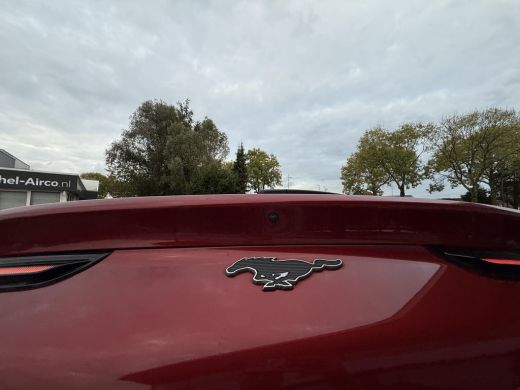 Ford Mustang Mach-E Mach-E Extended 98 kWh | Panorama | B&O Sound | 360 Camera | ActivLease financial lease