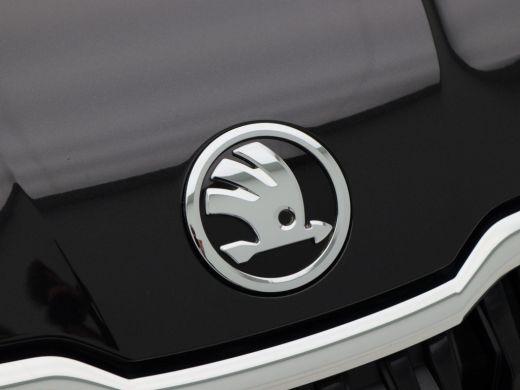 Skoda Kodiaq 1.5 TSi 150 Pk Automaat Business Edition | Camera | Navigatie | CarPlay | Climate | Cruise | 18 i... ActivLease financial lease