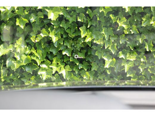 Audi Q5 55 TFSIe S edition Competition | FULL OPTION! | DEALER OH! | LUCHTVERING | PANODAK STOELVERWARMIN... ActivLease financial lease