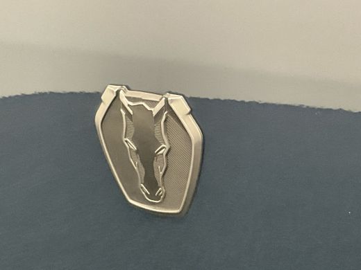 Ford Mustang Fastback 5.0 V8 DARK HORSE | NL-AUTO! | 1 EIGENAAR! | SPORTSTOELEN | ADAPTIVE CRUISE | LEDER | LA... ActivLease financial lease