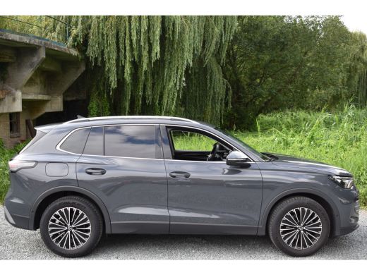 Volkswagen Tiguan 1.5 eTSI 150PK DSG Elegance LEDER | 360° CAMERA | TREKHAAK ActivLease financial lease