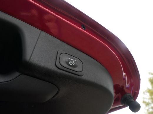 Ford Focus 1.0 EcoBoost Hybrid ST Line X | Panoramadak | Winterpack | AGR Stoel | 18 Inch | B&O Audio | Adap... ActivLease financial lease