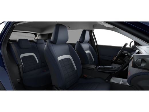 Citroën C5 Aircross Plus | Extra getinte achterste zijruiten en achterruit ActivLease financial lease