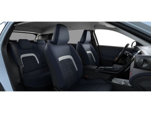 Citroën C5 Aircross Plus | Extra getinte achterste zijruiten en achterruit ActivLease financial lease