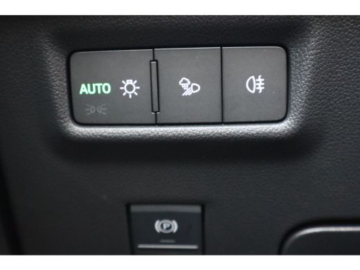 Skoda Kodiaq 204PK 1.5 TSI PHEV Business Edition | Achteruitrijcamera | Keyless entry | Trekhaak uitklapbaar ActivLease financial lease