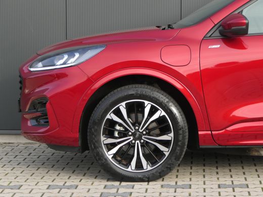 Ford Kuga 2.5 PHEV ST-Line | 19 Inch Velgen | Camera | Keyless | Privacy Glass | Navigatie | CarPlay/Androi... ActivLease financial lease