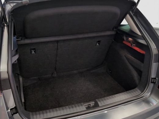 Skoda Kamiq 1.0 TSI Ambition ActivLease financial lease