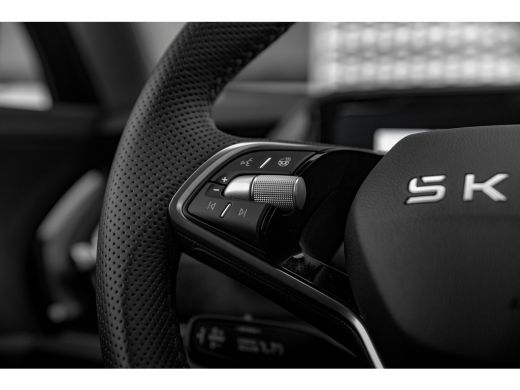 Skoda Kodiaq 1.5 TSI MHEV Business Edition 7p. | Adapt. Cruise | Trekhaak | Stoel- Stuurverwarming | Carplay ActivLease financial lease