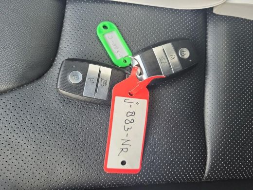 Kia e-Niro ExecutiveLine 64 kWh | Navi | Camera | Leder | JBL Sound | ActivLease financial lease