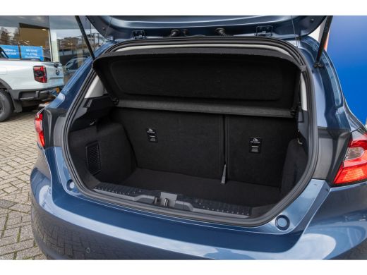 Ford Fiesta 1.0 EcoBoost Hybrid Titanium | Stoel/stuur/voorruit verwarming | Apple Carplay/Android Auto | Key... ActivLease financial lease