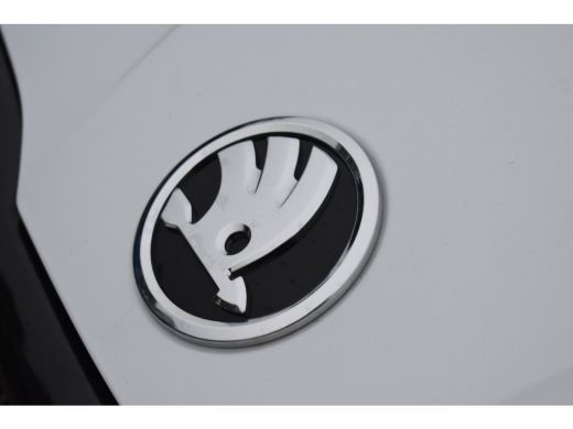 Skoda Fabia 116PK 1.0 TSI Monte Carlo | STOELVERW. | KEYLESS ENTREE | CAMERA. ACHTER | APP. CONNECT | CRUISE ... ActivLease financial lease