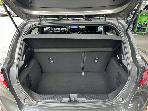 Ford Fiesta 1.0 125PK Hybrid ST-Line | STOEL-, STUUR- EN VOORRUITVERWARMING| PARKEERSENSOREN| KEYLESS ENTRY&S... ActivLease financial lease