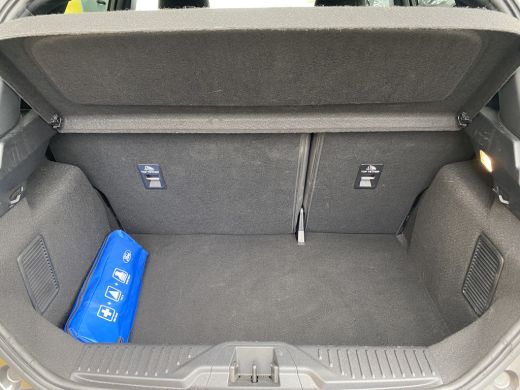 Ford Fiesta 1.0 125pk Hybrid ST-Line | STUUR STOEL&VOORRUITVERWARMING| APPLE CARPLAY/ANDROID AUTO| CLIMATE CO... ActivLease financial lease