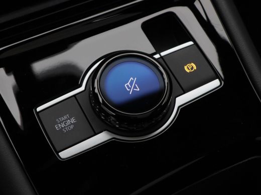 Volkswagen Tiguan 1.5 eTSi 150 Pk Automaat R-Line Edition | Black Style | Panoramadak | Trekhaak | Harman/Kardon | ... ActivLease financial lease