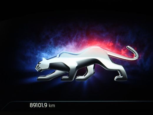 Ford Puma 1.0 EcoBoost Hybrid ST Line | Carplay | Full LED | Navigatie | Parkeerhulp | Cruise control | Dig... ActivLease financial lease