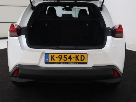 Lexus UX 300e Business 54 kWh | 1e eigenaar | Adaptive cruise | Carplay | Camera | Navigatie | Full LED | ... ActivLease financial lease