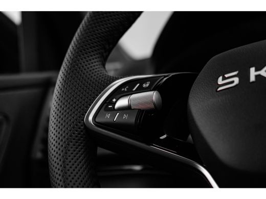 Skoda Karoq Sportline Business | Achteruitrijcamera | Airconditioning automatisch, 2-zone (Climatronic) | Cru... ActivLease financial lease