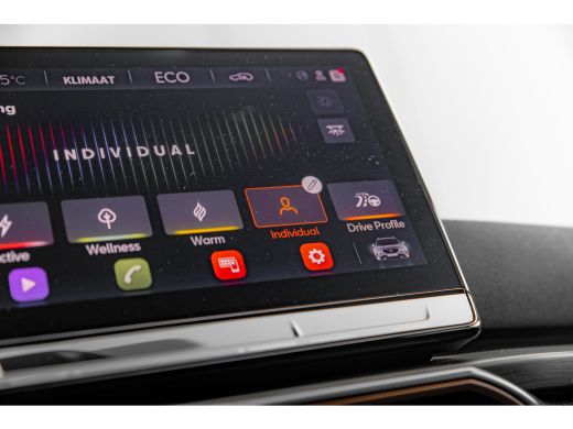 CUPRA Formentor 1.4 TSI e-Hybrid VZ Performance Limited | 245 pk | Rondom Camera | Stoel- Stuurverwarming | Carpl... ActivLease financial lease