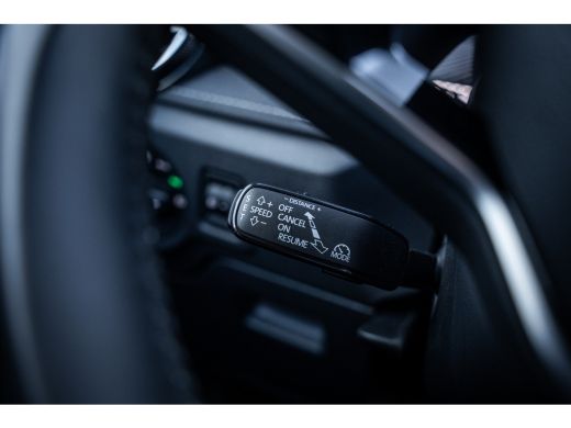 Skoda Fabia 1.0 TSI Business Edition | Achteruitrijcamera | Cruise control adaptief ActivLease financial lease