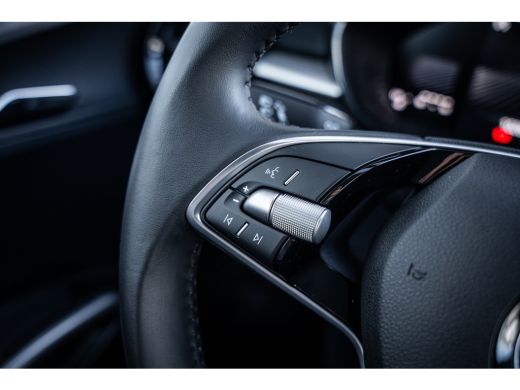 Skoda Fabia 1.0 TSI Business Edition | Achteruitrijcamera | Cruise control adaptief ActivLease financial lease