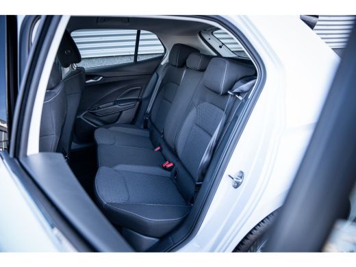 Skoda Fabia 1.0 TSI Business Edition | Achteruitrijcamera | Cruise control adaptief ActivLease financial lease