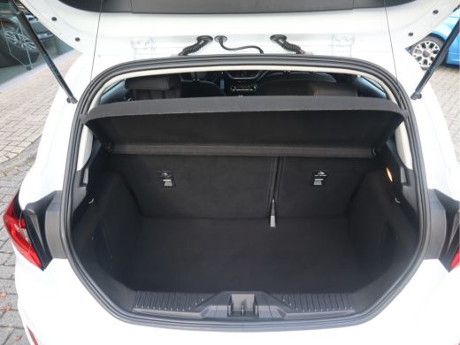 Ford Fiesta 1.0 EcoBoost Hybrid Titanium ActivLease financial lease