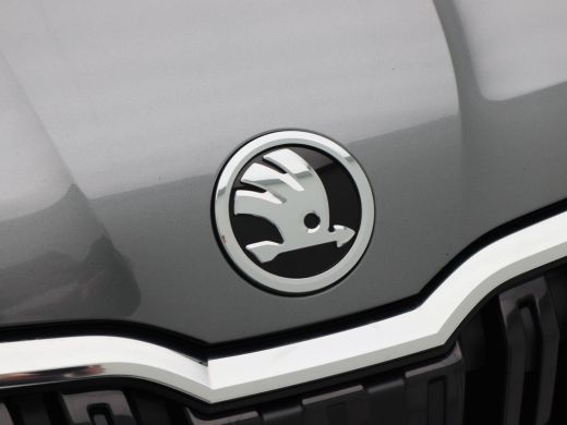 Skoda Kamiq 1.0 TSi 110 Pk Automaat Business Edition | Adaptive Cruise | Climate Control | Stoelverwarming | ... ActivLease financial lease