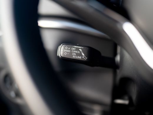 Skoda Karoq 1.5 TSI ACT Business Edition Plus | Elk. A-klep | Camera | Adapt. Cr. | Prijs Rijklaar!! ActivLease financial lease