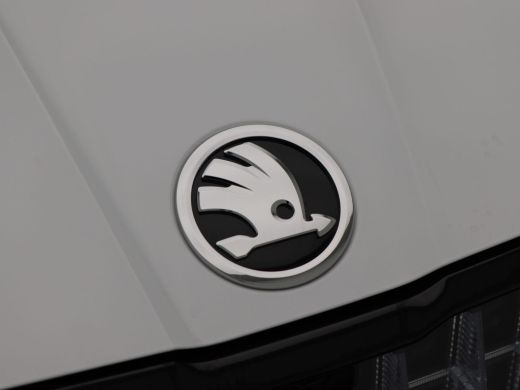 Skoda Enyaq Coupe 80 RS | Panoramadak | Full LED | Canton Audio | Adaptive Cruise | Stoelverwarming | Camera | 21 I... ActivLease financial lease