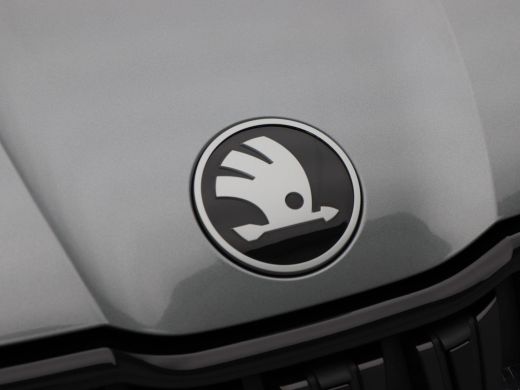 Skoda Kodiaq 1.5 TSi 204 Pk Automaat PHEV Sportline Business | Panoramadak | Trekhaak | Full LED | 20 Inch | S... ActivLease financial lease