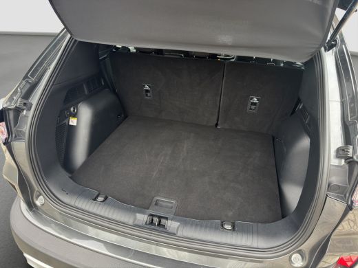 Ford Kuga 2.5 PHEV Titanium | Trekhaak | Winter Pack | Cruise Control | Apple Carplay | Navigatie ActivLease financial lease