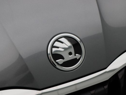 Skoda Scala 1.0 TSi 110 Pk Sport Business | Panoramadak | Cruise Control |  Climate Control | Carplay | Camer... ActivLease financial lease