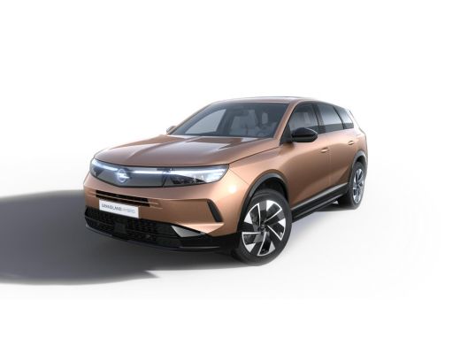 Opel Grandland Business Edition - PHEV | 7,4 kW boordlader | Achteruitrijcamera | Draadloze telefoonlader (Induc... ActivLease financial lease