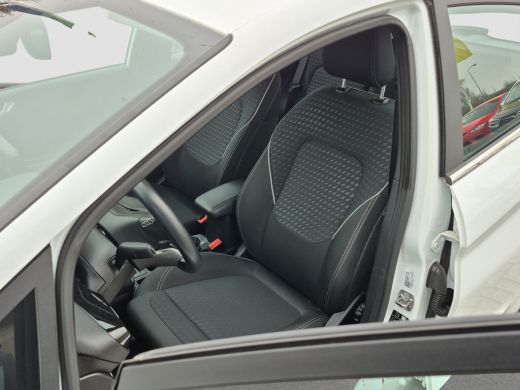 Ford Fiesta 1.0 EcoBoost Titanium Full map navigatie | Climate control | Carplay/android auto | Cruise contro... ActivLease financial lease