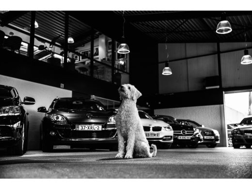 BMW 3 Serie 320i Sportline 184Pk Automaat (SCHUIFDAK, APPLE CARPLAY, GROOT NAVI, GETINT GLAS, SPORTSTOELEN, P... ActivLease financial lease