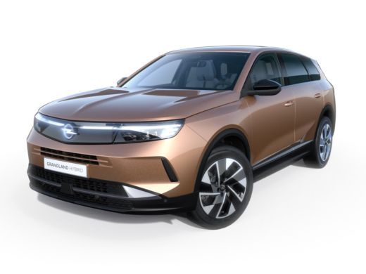 Opel Grandland GS | Carrosserie in &eacute;&eacute;n kleur | Draadloze telefoonlader (Inductie) | Elektronische klimaatregelin...