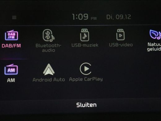 Kia Niro 1.6 GDi Hybrid DynamicLine | Half leder | Adaptive cruise | Carplay | Camera | Navigatie | Climat... ActivLease financial lease