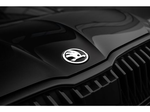 Skoda Fabia 1.0 TSI 115 pk Monte Carlo | Automaat | Camera | Carplay | Stoelverwarming ActivLease financial lease