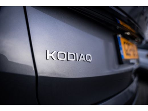 Skoda Kodiaq 1.5 TSI PHEV Business Edition | Achteruitrijcamera | Trekhaak uitklapbaar | Voorstoelen verwarmd ActivLease financial lease