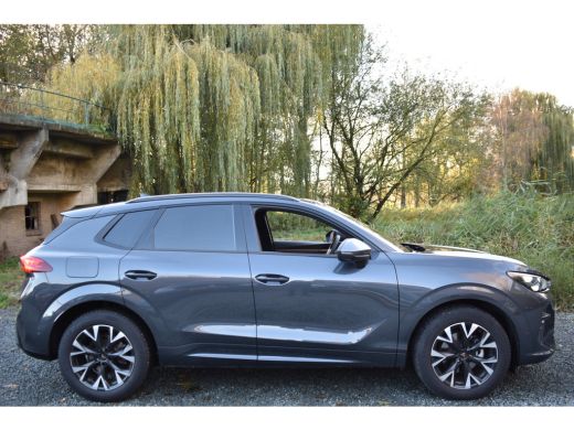 CUPRA Terramar 1.5 eTSI 150PK DSG BUSINESS SFEERVERL HEAD-UP/NAVI/CAMERA/LEDER MATRIX ActivLease financial lease