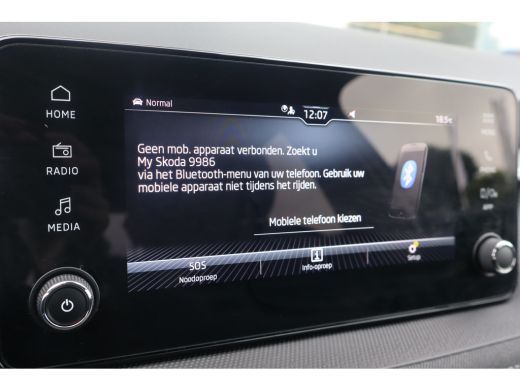 Skoda Fabia 95PK 1.0 TSI Business Edition | Achteruitrijcamera | Cruise control | Keyless start ActivLease financial lease