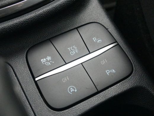 Ford Fiesta 1.0 EcoBoost 95PK Titanium | ADAPTIVE CRUISE | NAVI | DODEHOEKDECTIE | STOEL+STUUR+VOORRUITVERWAR... ActivLease financial lease