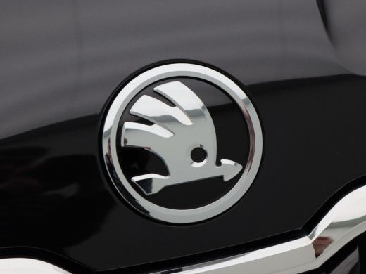 Skoda Karoq 1.5 TSi 150 Pk Automaat Business Edition | Adaptive Cruise | Climate Control | Stoelverwarming | ... ActivLease financial lease