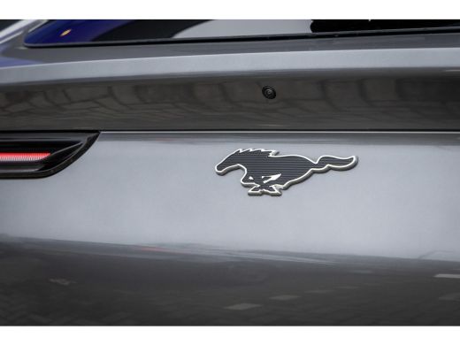 Ford Mustang Mach-E Mach-E Extended Premium RWD 98 kWh | Technology Pack+ | B&O Audio | 360 Camera | Memory Seats | A... ActivLease financial lease