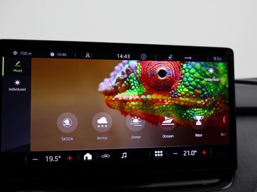 Skoda Enyaq iV 80 + CAMERA | ADAPTIVE CRUISE | SFEERVERLICHTING | CARPLAY | STUURVERW. ActivLease financial lease