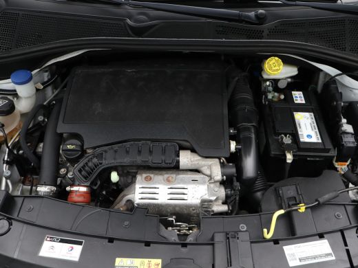 Citroën C4 Cactus 1.2 PureTech Shine Plus | Achteruitrijcamera | Airco (automatisch) | Apple Carplay/Android Auto|t... ActivLease financial lease